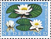 Stamp 748