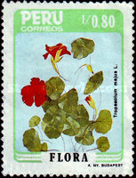 Stamp 1313