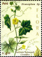 Stamp 2007