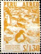 Stamp 613