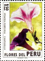 Stamp 877