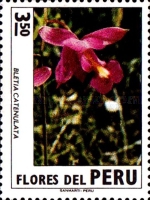 Stamp 880