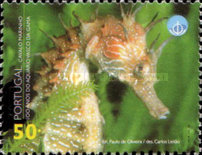 Stamp 2242