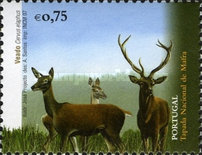 Stamp 3237