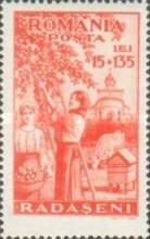 Stamp 807