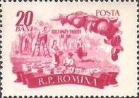 Stamp 1546