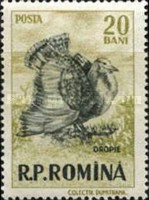 Stamp 1572