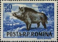 Stamp 1574