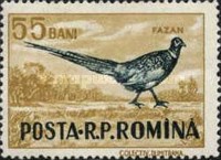 Stamp 1576