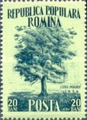 Stamp 1586