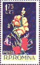 Stamp 1602