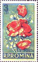 Stamp 1603