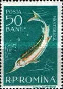 Stamp 1695