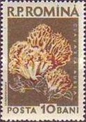 Stamp 1724