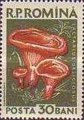 Stamp 1726