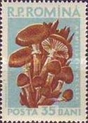 Stamp 1727