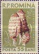 Stamp 1728