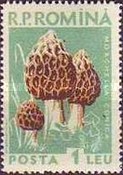 Stamp 1729