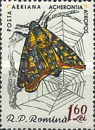 Stamp 1934