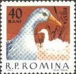 Stamp 2152