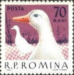 Stamp 2154