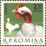 Stamp 2157