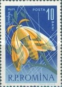 Stamp 2211