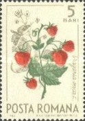 Stamp 2352