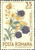 Stamp 2353