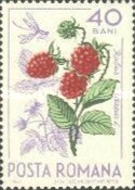 Stamp 2354