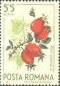 Stamp 2355