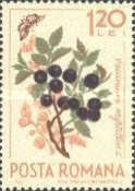 Stamp 2356