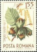 Stamp 2358