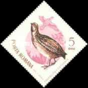 Stamp 2416