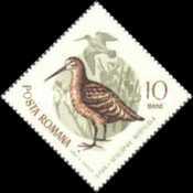 Stamp 2417