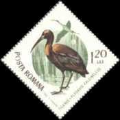 Stamp 2423