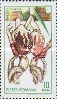 Stamp 2428