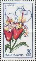 Stamp 2429