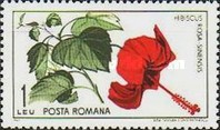 Stamp 2433