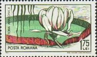 Stamp 2435