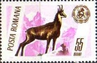 Stamp 2445