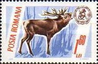 Stamp 2447