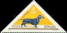 Stamp 2455