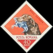 Stamp 2457