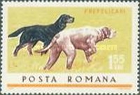 Stamp 2461