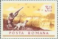 Stamp 2462