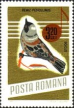 Stamp 2493