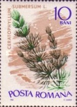 Stamp 2512