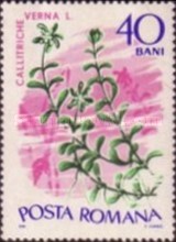 Stamp 2514