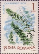 Stamp 2516